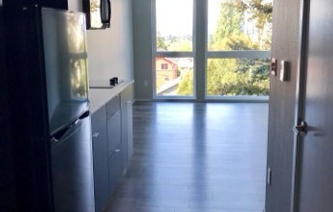 Studio, 1 bath, 404 sqft, $1,475, Unit 102