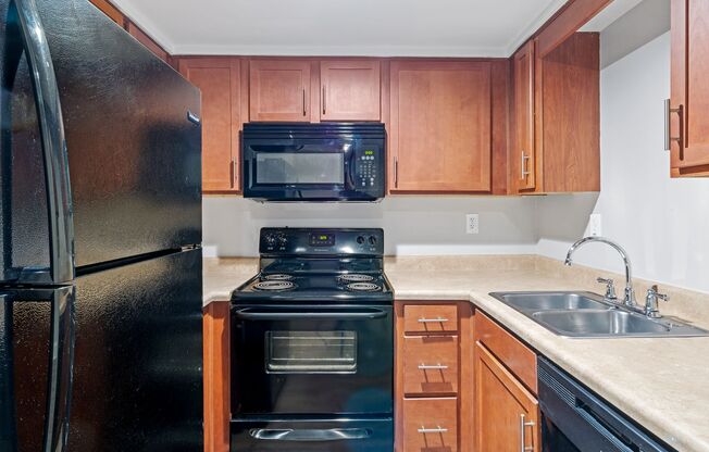 1 bed, 1 bath, 540 sqft, $1,000, Unit 207