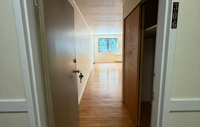 Studio, 1 bath, 487 sqft, $1,250, Unit Fifth 306