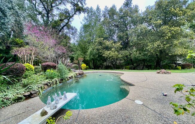 Danville private Oasis 5 bd / 3 ba. Creek side house, 3 car garage, Pool and spa, lush landscape