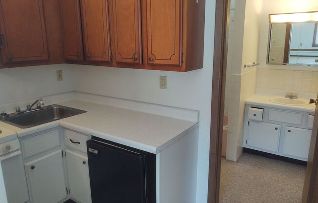 Studio, 1 bath, 305 sqft, $550, Unit Apt 214