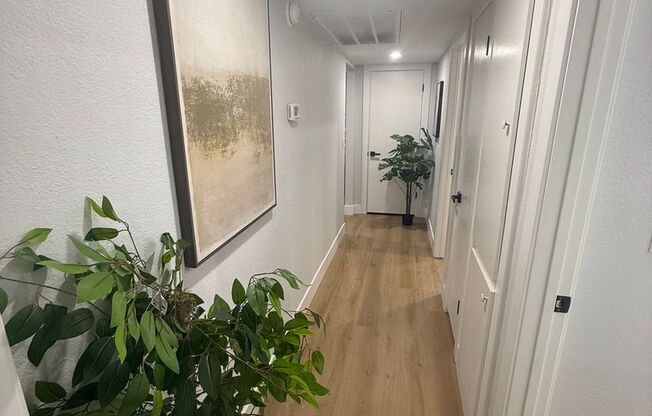 3 beds, 2 baths, $2,200