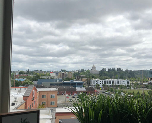 Views of Olympia Historic District at Harbor Heights 55+ Community, Washington