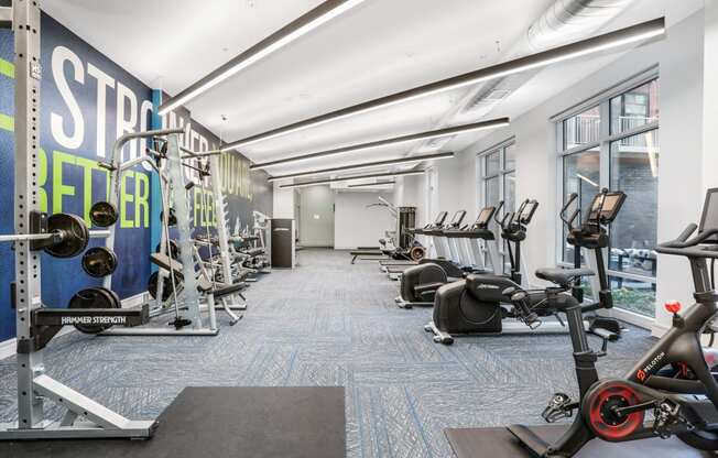 a gym with weights and cardio machines on the floor and a large wall of windows