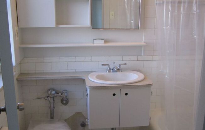 Studio, 1 bath, 233 sqft, $1,400, Unit 806