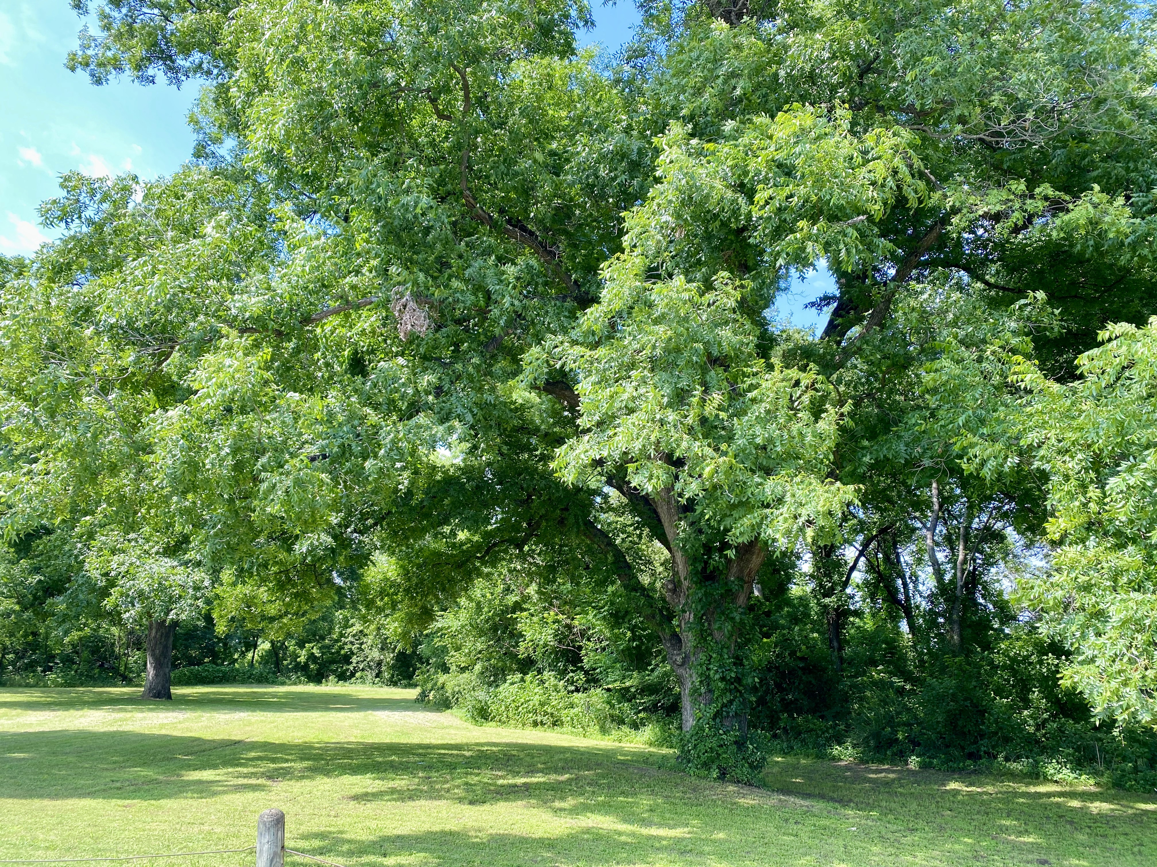 Quanah Parker Park near the Trinity River