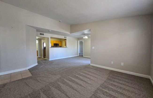 Luxury Condo