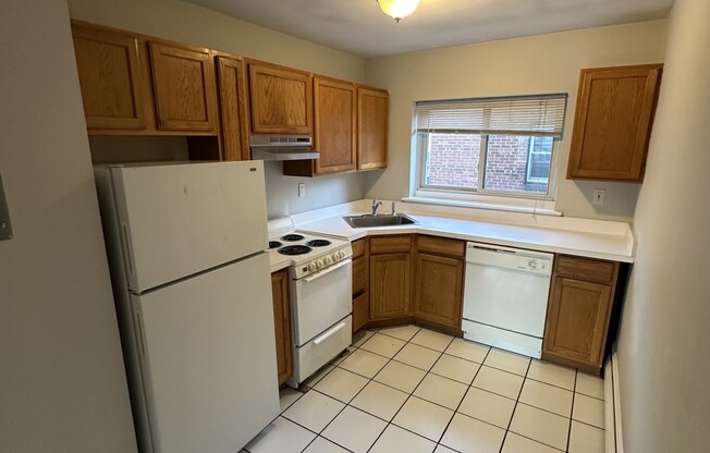 61 SELKIRK RD