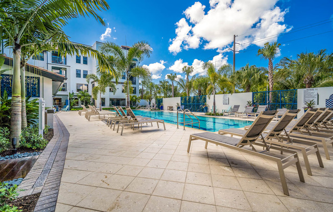 pool surrounded by palm trees and brown pool chairs at Magnolia Square, Naples