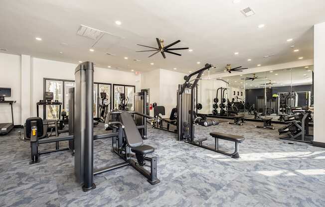 A gym with a variety of equipment including a weight bench, a squat rack, and a barbell.