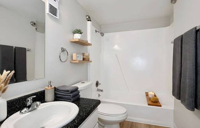 1 bed, 1 bath, 439 sqft, $1,255