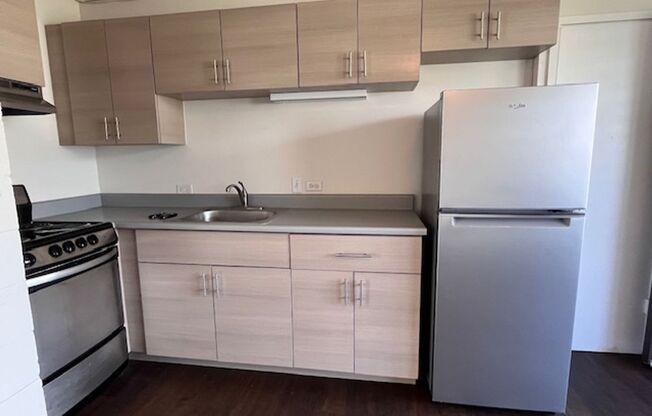 1 bed, 1 bath, 339 sqft, $1,495