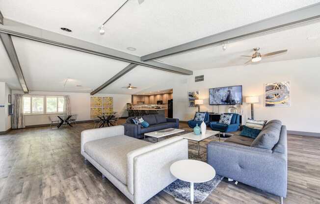 Clubhouse Sitting Area with Hardwood Inspired Floor, Gray Sofa, Rug and Ceiling Fan/Light