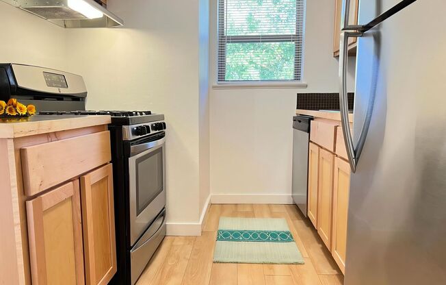 1 bed, 1 bath, 530 sqft, $1,349, Unit PPLD-207