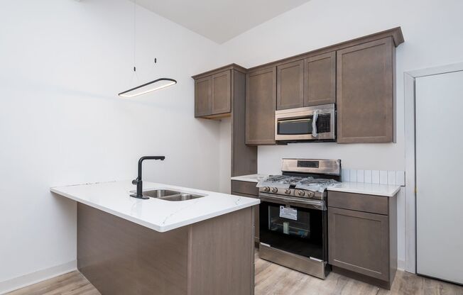 1907 S Blue Island Ave Chicago IL 60608