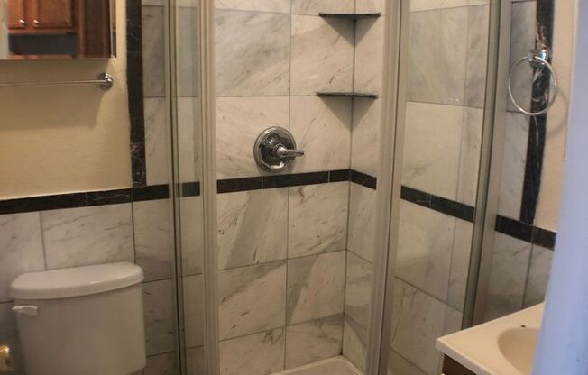 Studio, 1 bath, 250 sqft, $1,245, Unit 212