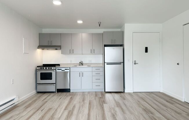 1 bed, 1 bath, 480 sqft, $1,495, Unit 411