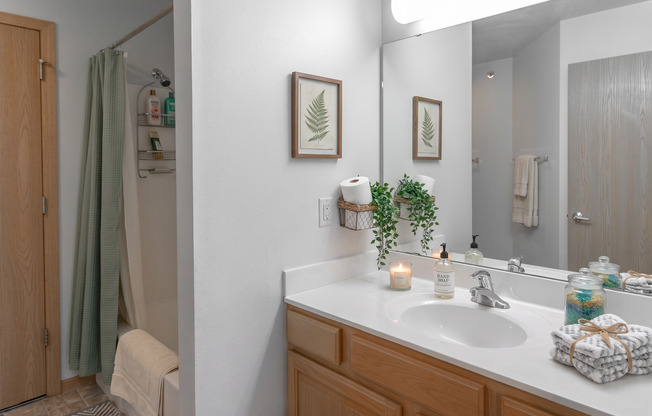 Studio, 1 bath, 526 sqft, $1,330, Unit 290-104