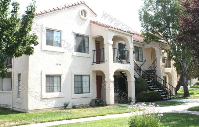 2554 Olive Dr;