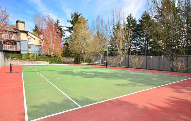 tennis court