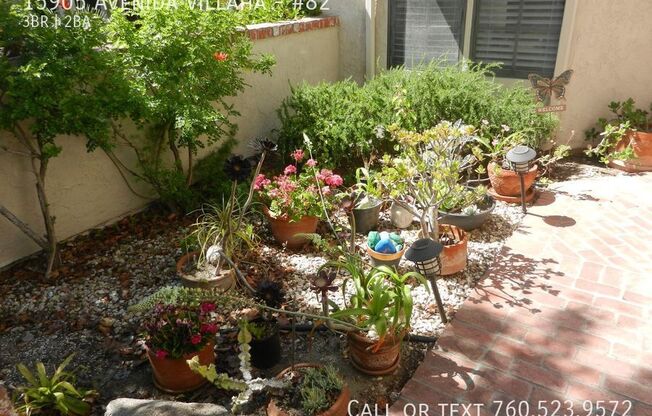 15905 VILLAHA