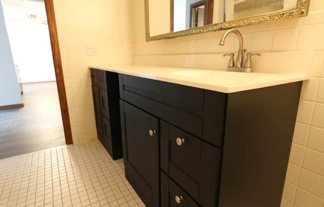 Edina Manor Apartments Bathroom, Edina, Minnesota