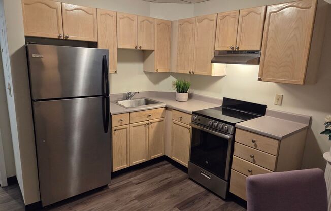 Studio, 1 bath, 370 sqft, $1,190, Unit 502