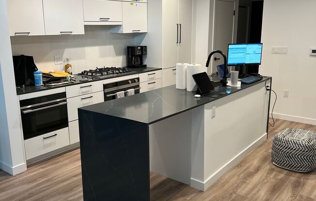 2 Level Luxury Condo w/ Garage - Eckington District