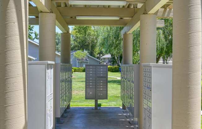 a walkway with a mailboxes and trees in the background