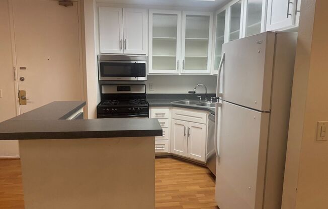 Studio, 1 bath, 550 sqft, $1,795, Unit 209