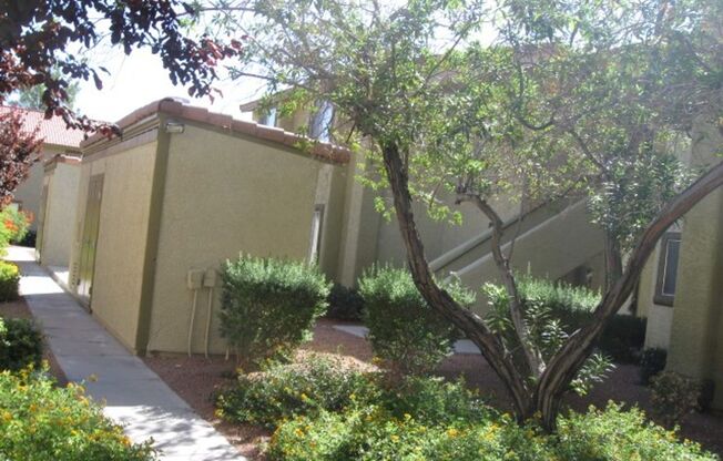 1 bed, 1 bath, $1,100, Unit #2033