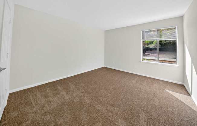 A room with a carpeted floor and a window showing a view of a street.