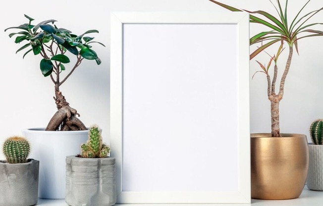 a picture frame with potted plants in front of it