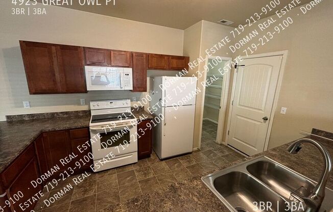 4923 GREAT OWL PT