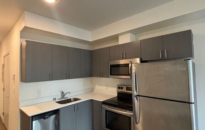 Studio, 1 bath, 306 sqft, $1,295, Unit 207