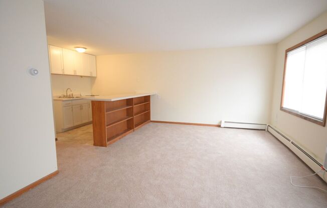 Studio, 1 bath, 450 sqft, $900, Unit 307