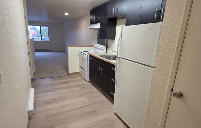 Studio, 1 bath, 450 sqft, $1,225, Unit 201