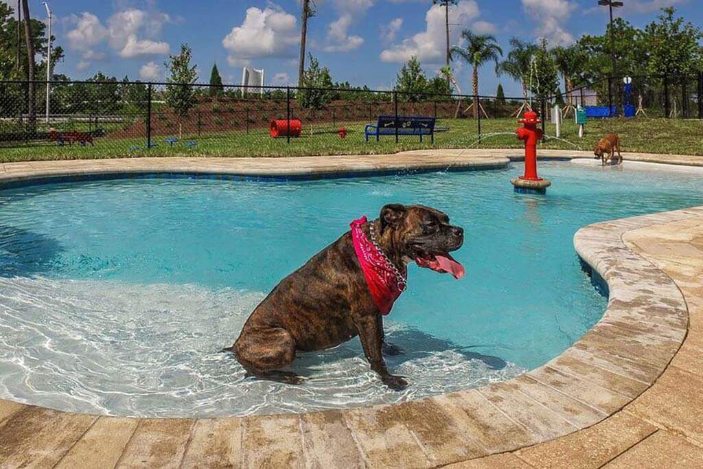 Luxury Apartments in Bartram Park at Palm Bay Club
