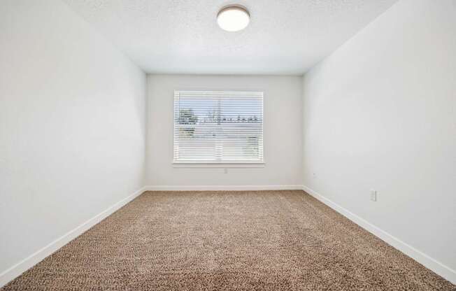 A room with a carpeted floor and a window with blinds.