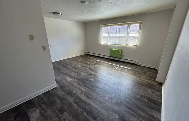 Studio, 1 bath, $750, Unit 205