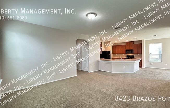 8423 BRAZOS PT