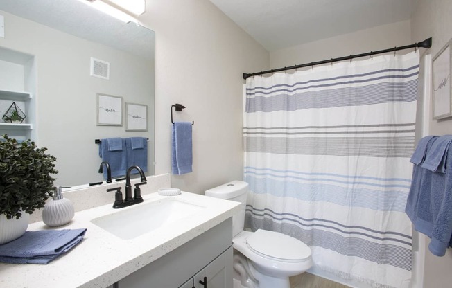 Model Master Bathroom at 60 at Melrose, Phoenix, AZ