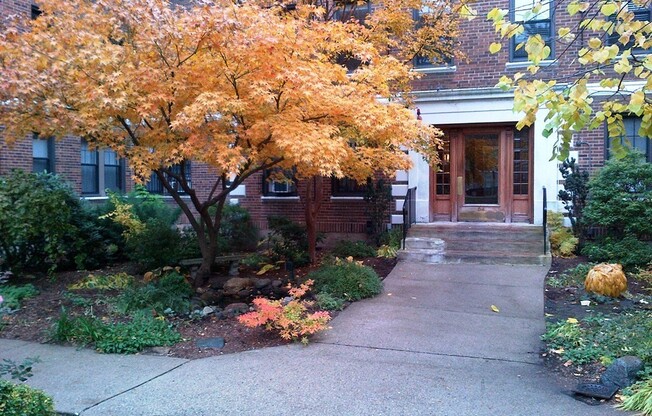 62 Queensberry St