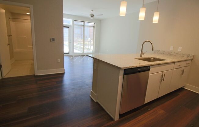 1 bed, 1 bath, 534 sqft, $1,495, Unit APT 310