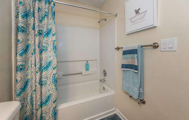 a bathroom with a shower curtain and a bath tub