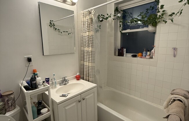 1 bed, 1 bath, $3,200, Unit 201