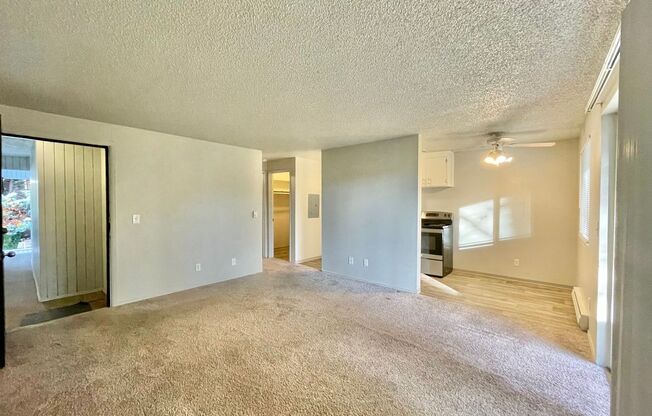 1 bed, 1 bath, 525 sqft, $1,425, Unit 20