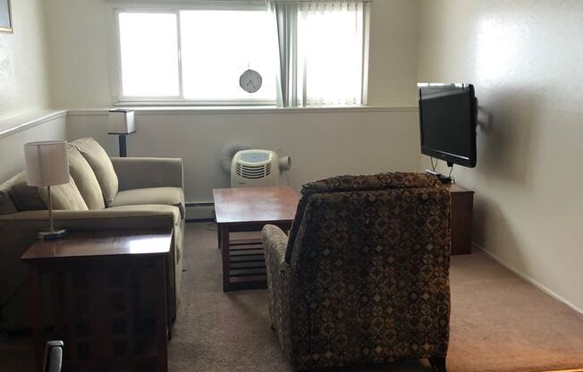 1 bed, 1 bath, 695 sqft, $950, Unit 207