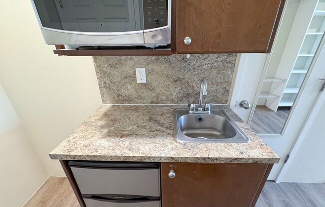 Studio, 1 bath, 160 sqft, $1,250, Unit 356