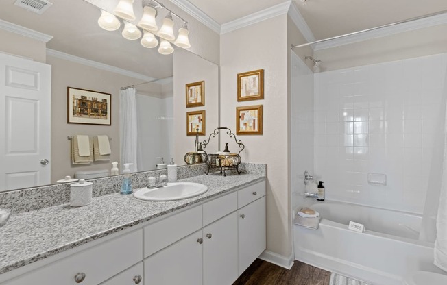 a bathroom with a sink and a bathtub